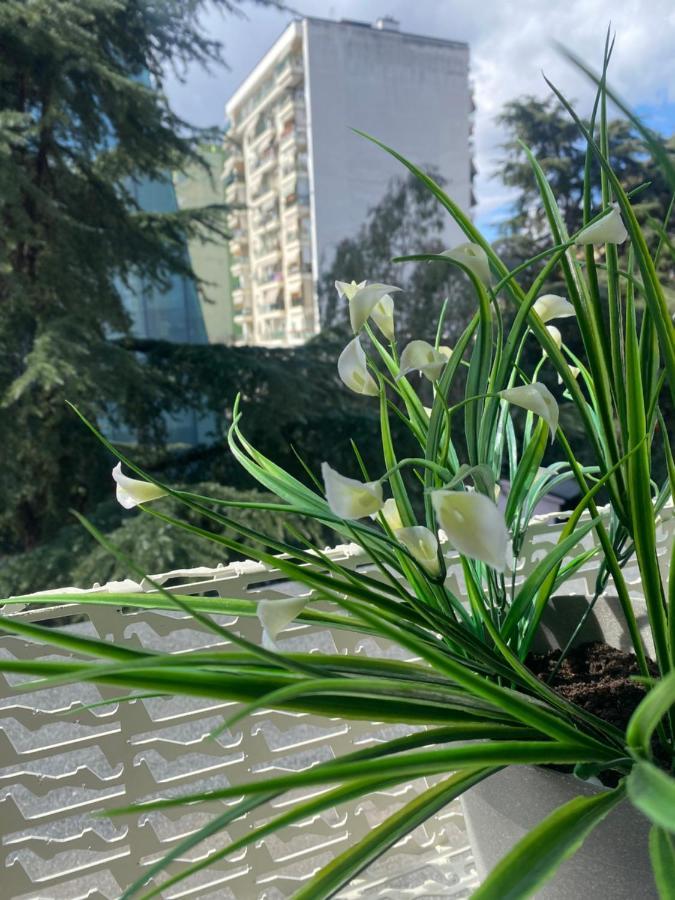 Jonexh Apartments Tiranë Ngoại thất bức ảnh